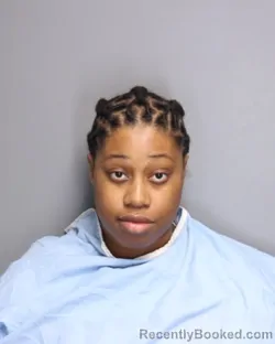 Mugshot of BRITTENY NICOLE GRIGGS booked in Champaign County, Illinois on May 11, 2026
