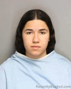 Mugshot of SOFIA ADRIANNA CABRERA booked in Champaign County, Illinois on May 12, 2026