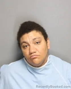 Mugshot of MICHELLE THI BURNS booked in Champaign County, Illinois on May 15, 2026