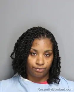 Mugshot of ALEXZANDRIA ANTWANETTE ROSS booked in Champaign County, Illinois on May 16, 2026