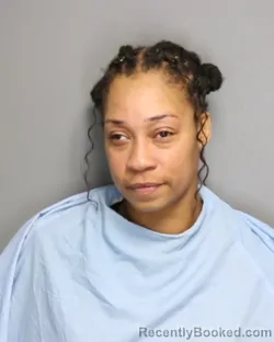 Mugshot of NADINE LORRIAN PEARSON booked in Champaign County, Illinois on May 16, 2026