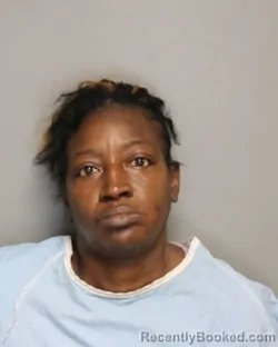 Mugshot of TARA ANITA WILSON booked in Champaign County, Illinois on May 23, 2026
