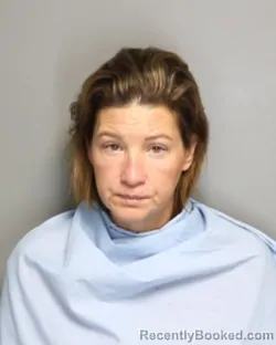 Mugshot of KELLY LYNN WALSH booked in Champaign County, Illinois on June 13, 2026