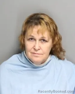 Mugshot of ANGELA SUE PURTELL booked in Champaign County, Illinois on June 18, 2026