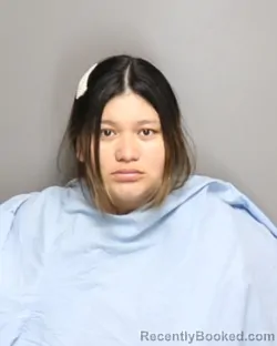 Mugshot of ELIZABETH MARISEL HERNANDEZ-TORRES booked in Champaign County, Illinois on June 23, 2026