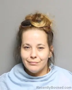 Mugshot of LADAWNE MARIE TINDALL booked in Champaign County, Illinois on June 24, 2026