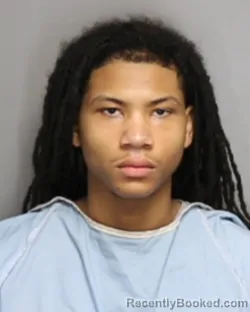 Mugshot of DAMANI DANIEL TRICE booked in Champaign County, Illinois on June 24, 2026