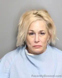 Mugshot of TINA MARY KOWALCZYK booked in Champaign County, Illinois on June 24, 2026