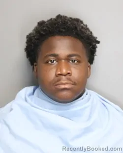 Mugshot of YOQUAN MALIK RAY booked in Champaign County, Illinois on June 25, 2026