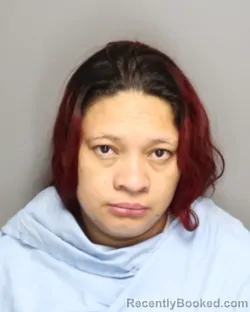 Mugshot of LUZ MARYURY CASTRO VALLADARES booked in Champaign County, Illinois on June 26, 2026