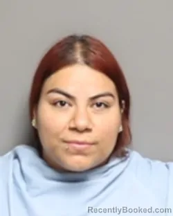 Mugshot of JEIMY ARELIS DOMINGUEZ booked in Champaign County, Illinois on June 30, 2026