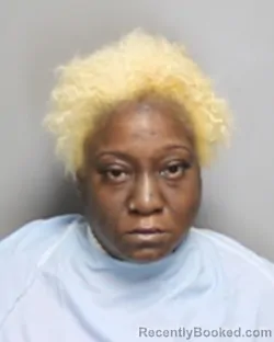 Mugshot of LUCRETIA MARIE COLLINS booked in Champaign County, Illinois on June 30, 2026