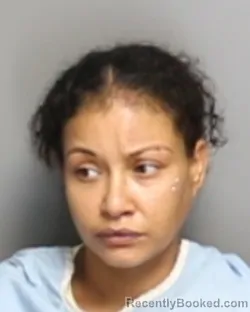 Mugshot of ROCHELLE EILEEN BATTIEST booked in Champaign County, Illinois on July 2, 2026