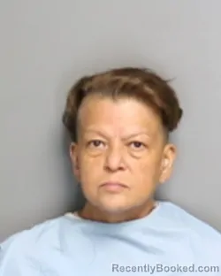 Mugshot of IRASEMA ORTIZ booked in Champaign County, Illinois on July 2, 2026