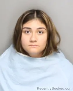 Mugshot of LITZY ANAHY MENDOZA booked in Champaign County, Illinois on July 3, 2026