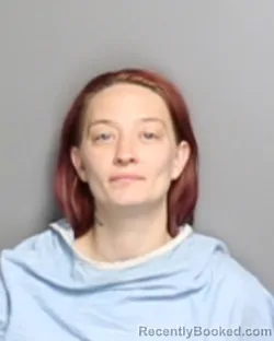 Mugshot of SARAH KALYNN CARROLL booked in Champaign County, Illinois on July 4, 2026