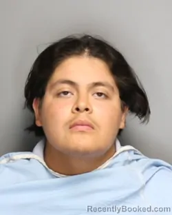 Mugshot of EDWIN UZIEL GARCIA booked in Champaign County, Illinois on July 9, 2026