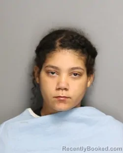 Mugshot of ALANA LYNN CLARK booked in Champaign County, Illinois on July 9, 2026