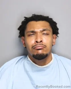 Mugshot of ERICK ORLANDO JOHNSON booked in Champaign County, Illinois on July 11, 2026