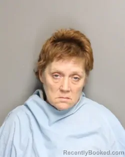Mugshot of TONIA MICHELLE NOLAN booked in Champaign County, Illinois on July 12, 2026