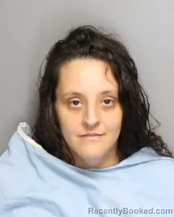 Mugshot of ANDREA ELIZABETH PALIVOS booked in Champaign County, Illinois on July 13, 2026