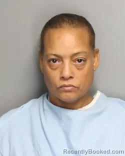 Mugshot of BRIDGETT CALSHREE ROBINSON booked in Champaign County, Illinois on July 14, 2026