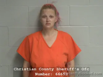 Mugshot of BRANDIE L NELSON booked in Christian County, Illinois on March 29, 2026