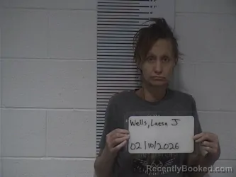 Mugshot of LAESA JAN WELLS