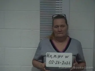 Mugshot of MISTY W HILL