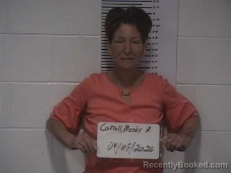 Mugshot of MENDY A CARROLL booked in Clay County, Illinois on April 5, 2026