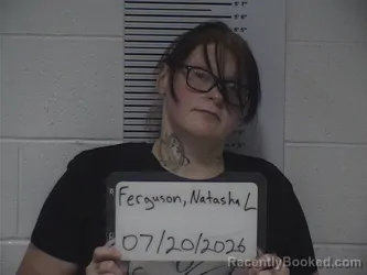 Mugshot of NATASHA L FERGUSON booked in Clay County, Illinois on July 20, 2026
