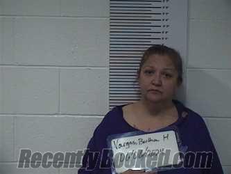 Booking photo from Clay County, Illinois