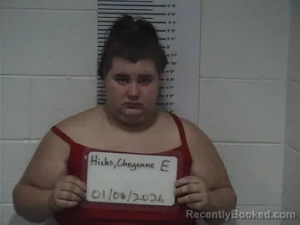 Mugshot of CHEYENNE D HICKS