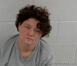 Mugshot of BRANDY R BOYCE booked in Clinton County, Illinois on April 20, 2026