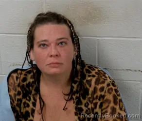 Mugshot of Megan Lynn Alvey booked in Clinton County, Illinois on August 18, 2026