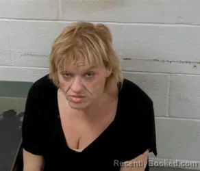Mugshot of TONYA MARIE PANNELL booked in Clinton County, Illinois on May 13, 2026