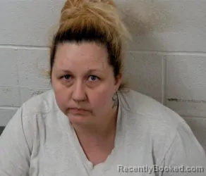 Mugshot of ERIN LYNN FARMER