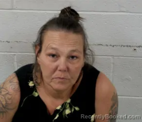 Mugshot of SUZAN R MILLER booked in Clinton County, Illinois on March 31, 2026