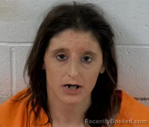 Mugshot of SHAKINA APRIL WEISEL booked in Clinton County, Illinois on April 15, 2026