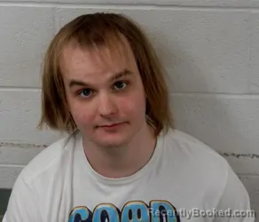 Mugshot of JAMES LEE VANSCOY booked in Clinton County, Illinois on March 26, 2026