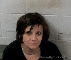 Mugshot of HEATHER DAWN ALLEN booked in Clinton County, Illinois on May 11, 2026
