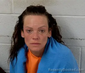 Mugshot of LINDSEY N WIMBERLY booked in Clinton County, Illinois on March 28, 2026