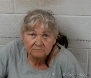 Mugshot of LATISHA ANN PHILLIPS booked in Clinton County, Illinois on April 14, 2026