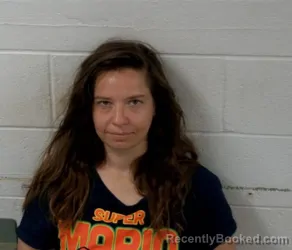 Mugshot of ALEXIS NICOLE CABER booked in Clinton County, Illinois on June 29, 2026