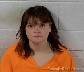 Mugshot of Lauren Marie Biegeleisen booked in Clinton County, Illinois on August 15, 2026