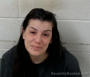 Mugshot of ERIKA-DAWN MARIE BULMER booked in Clinton County, Illinois on May 9, 2026