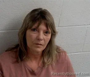 Mugshot of TAMMY RAE LEWIS booked in Clinton County, Illinois on April 12, 2026