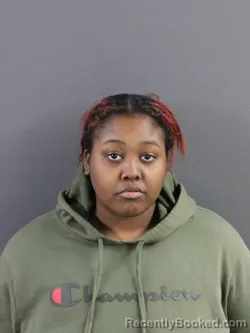 Mugshot of BRIANAH Z'NAE JONES