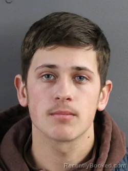 Mugshot of MITCHELL DEAN BRAUER