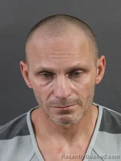 Mugshot of ANTHONY STEPINA